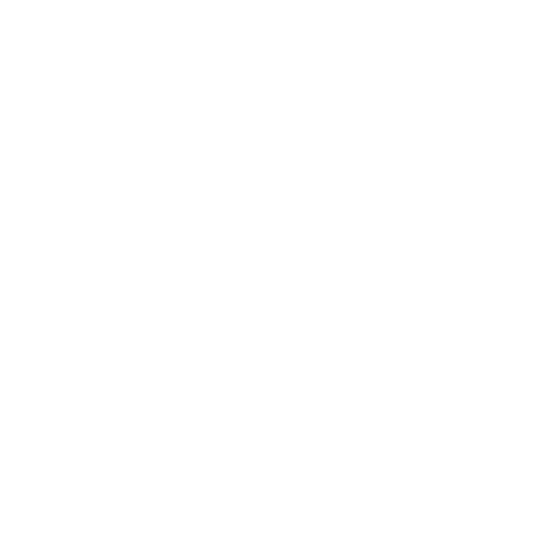 Lido